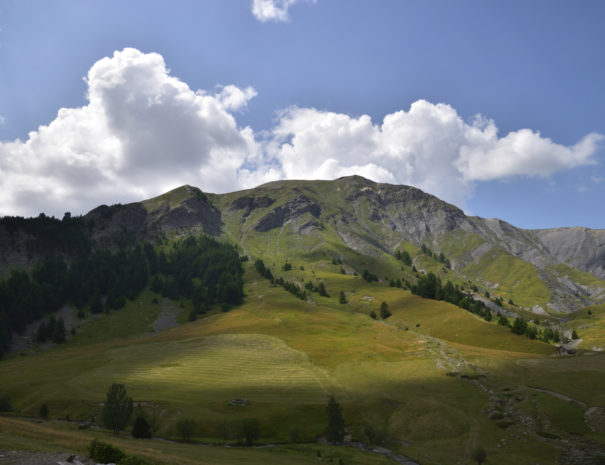 Montagne été