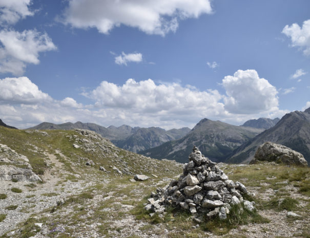 Montagne été