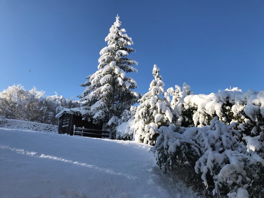 Jardin Danielle sous la neige